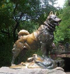 Balto was the lead dog on the final relay team. This picture of a statue of Balto in New York's Central Park honors all the dogs in the Great Race of Mercy.