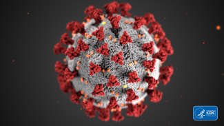 Coronavirus virion