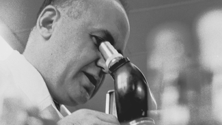 Dr Hilleman