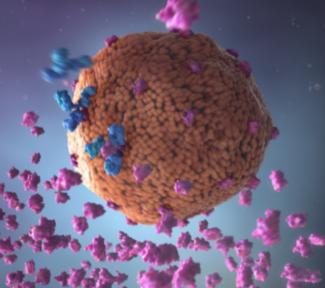 hep b virus particle