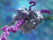 genetic engineering