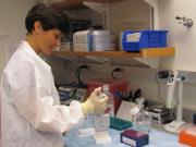 scientist in clinical lab 