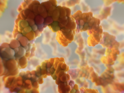 mRNA