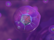 Viral vector
