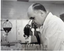 Dr Hilleman 